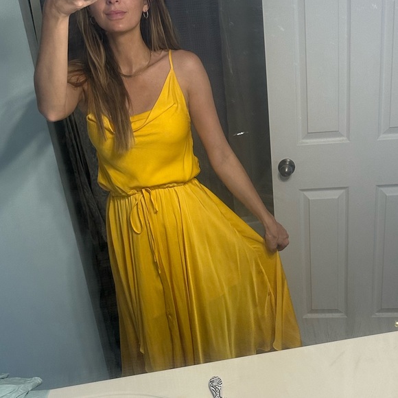 Hello Molly Dress! - Picture 2 of 2